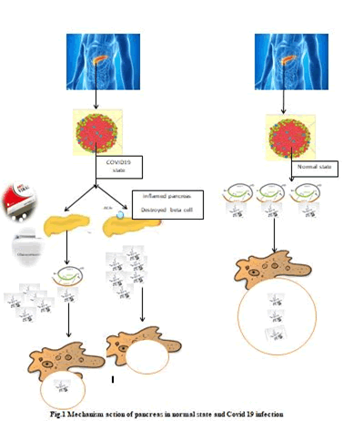 Journal-Drug-Alcohol-Research-Mechanism Journal-Drug-Alcohol-Research-Mechanism