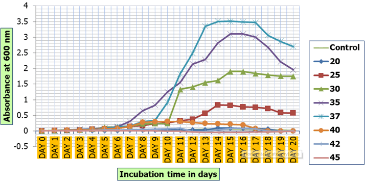 Journal-Drug-Alcohol-Research-Curve