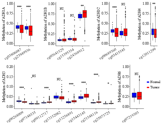Journal-Drug-Alcohol-Research-Methylation Journal-Drug-Alcohol-Research-Methylation
