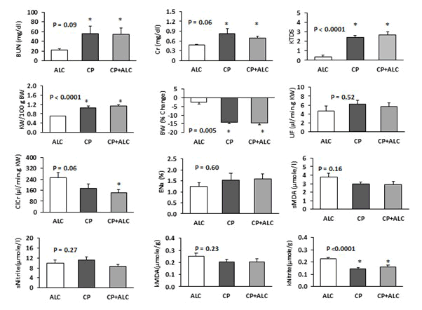 Journal-Drug-Alcohol-Research-Serum Journal-Drug-Alcohol-Research-Serum