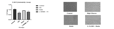 Journa-Drug-Alcohol-Research-Cell