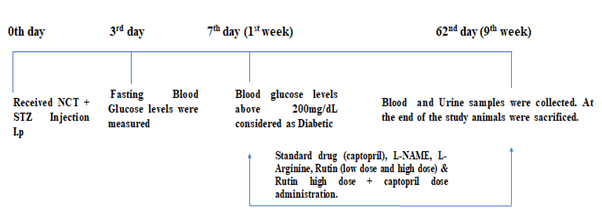 Journa-Drug-Alcohol-Research-Evaluation