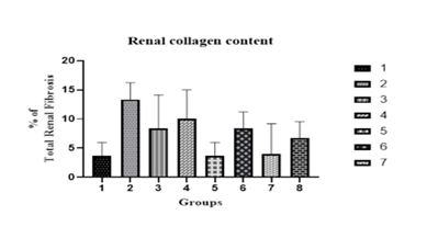 Journa-Drug-Alcohol-Research-Graphical