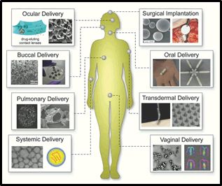 Journal-Drug-Alcohol-Research-Different Journal-Drug-Alcohol-Research-Different