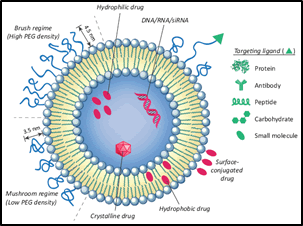 Journal-Drug-Alcohol-Research-Liposomes Journal-Drug-Alcohol-Research-Liposomes