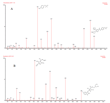 Journal-Drug-Alcohol-Research-Mass