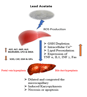 Journal-Drug-Alcohol-Research-Mechanism