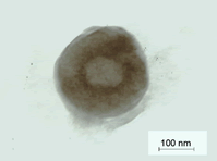 Journal-Drug-Alcohol-Research-Response-Plate-surface